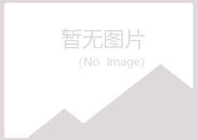 白城洮北埋没音乐有限公司